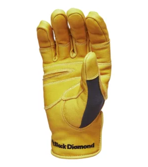TRANSITION GLOVES